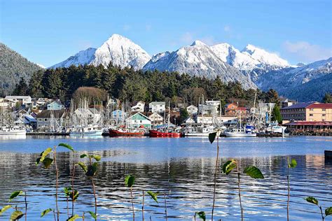 sitka cruise port things to do